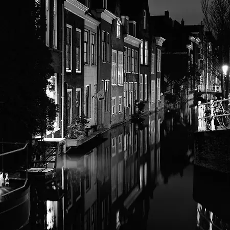 Orange Delight Delft