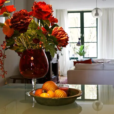 Orange Delight Apartment Delft