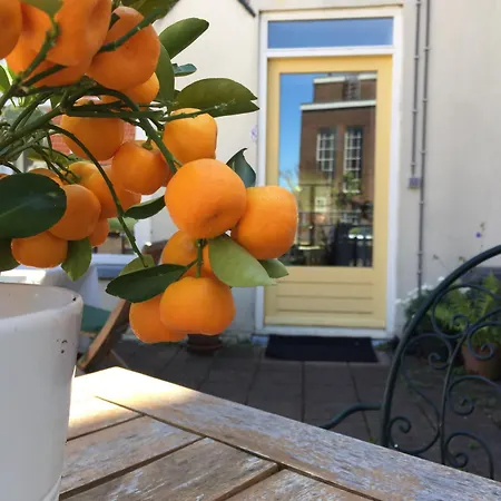 Apartment Orange Delight Delft